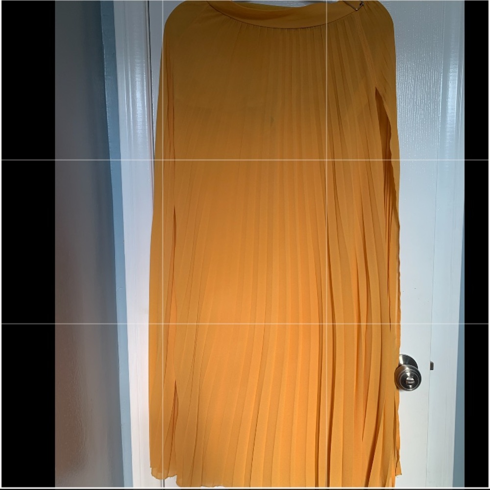 Pleated sheer high waisted skirt - Picture 5 of 11